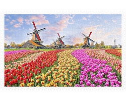 campo-de-flores-holanda-1000-piezas-pintoo