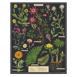 herbarium-1000-piezas-cavallini