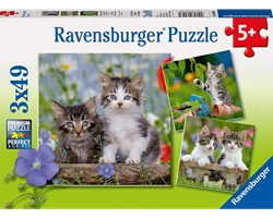 pequeños-gatitos-3x49-piezas-ravensburger
