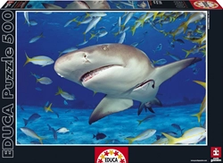 tiburon-500-piezas-educa