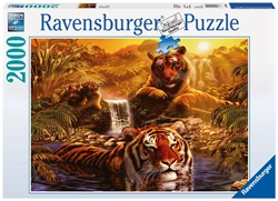 tigres-refrescandose-2000-piezas-ravensburger